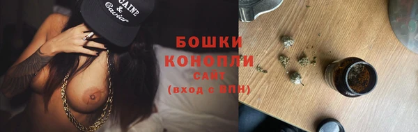 PSILOCYBIN Белокуриха
