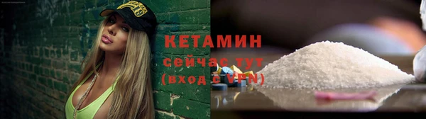 PSILOCYBIN Белокуриха