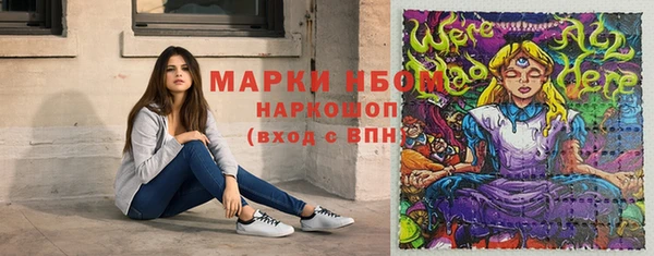 PSILOCYBIN Белокуриха