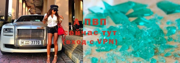 PSILOCYBIN Белокуриха