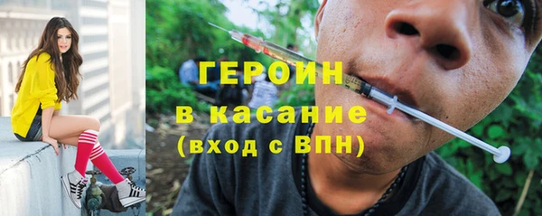 PSILOCYBIN Белокуриха