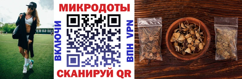 где купить наркоту Верещагино Галлюциногенные грибы Cubensis